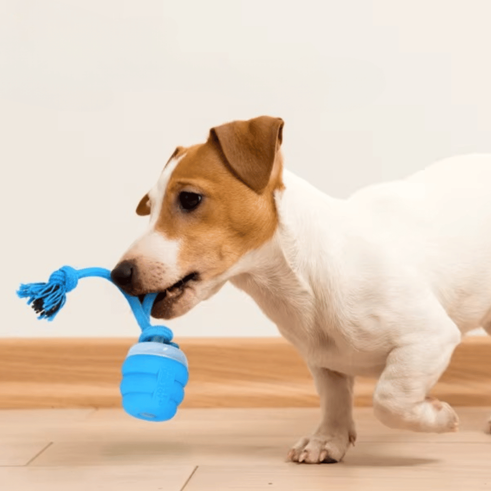 Interactive Dog Toy