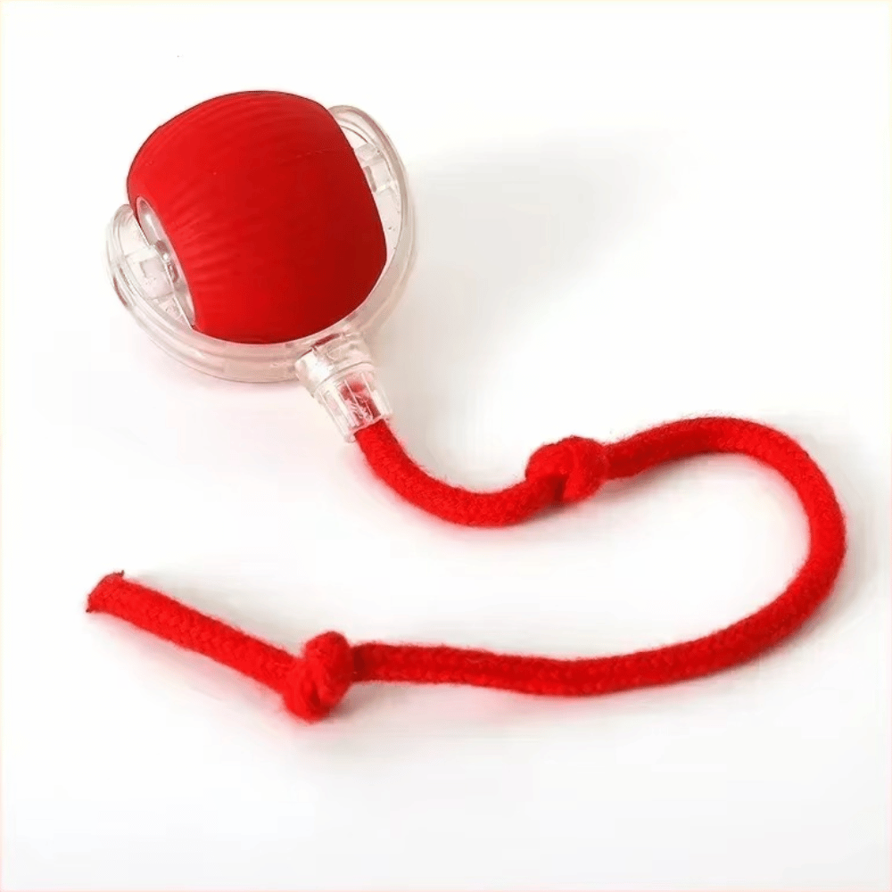 Smart Motion Ball