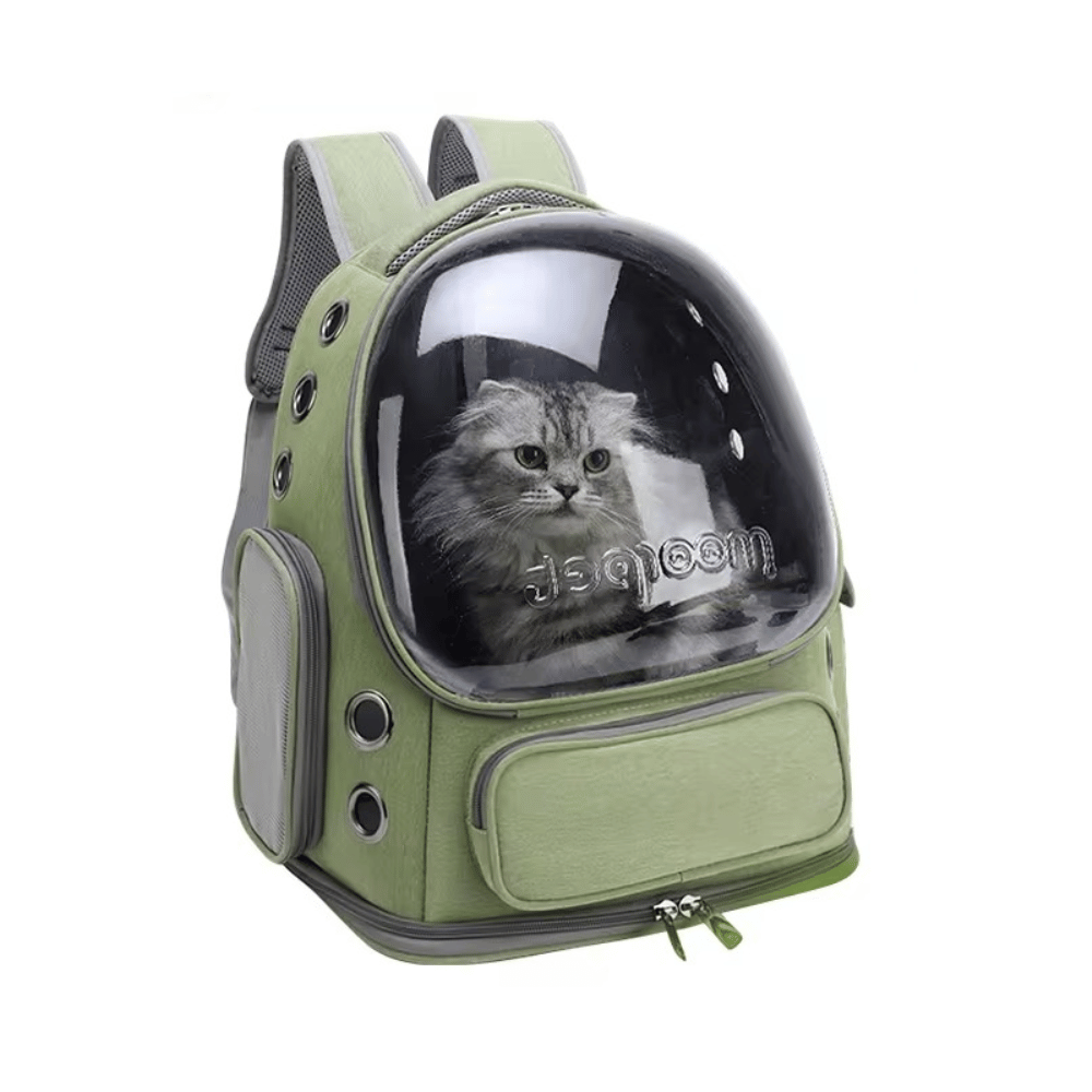 Transparent Cat Carrier Backpack