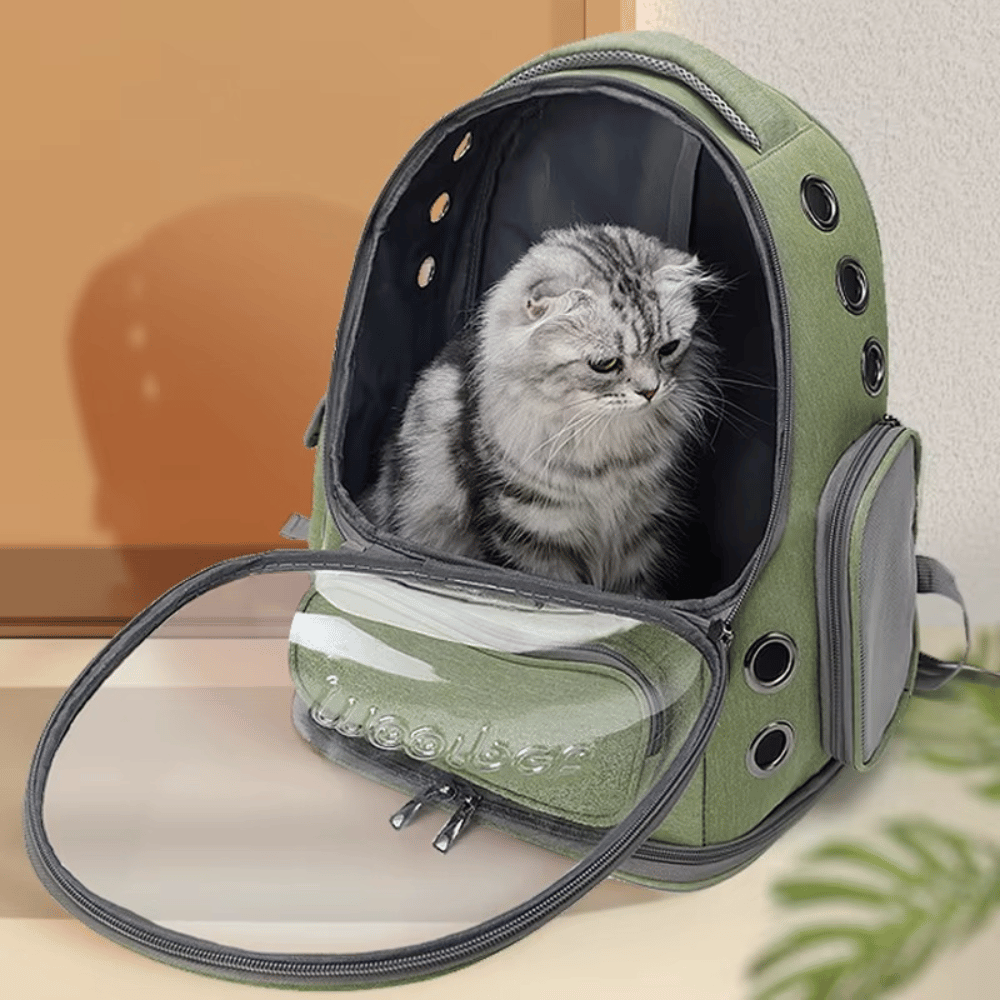 Transparent Cat Carrier Backpack