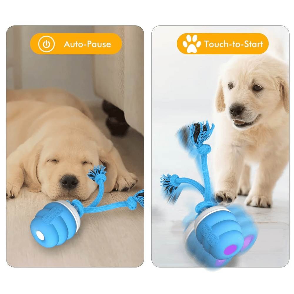 Interactive Dog Toy