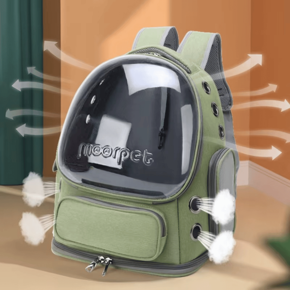 Transparent Cat Carrier Backpack