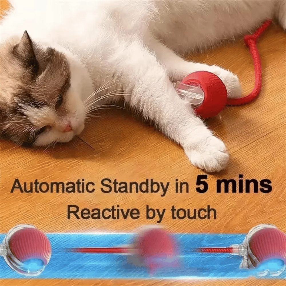 Smart Motion Ball
