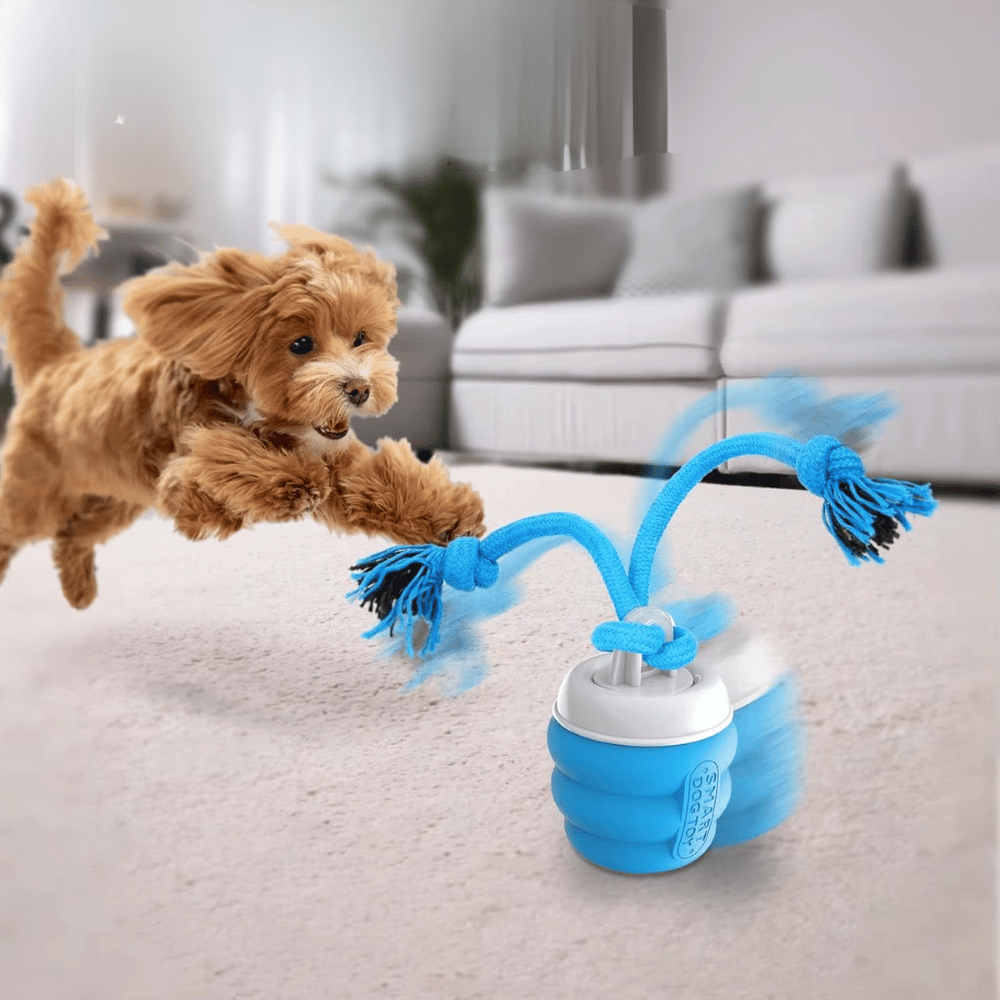 Interactive Dog Toy