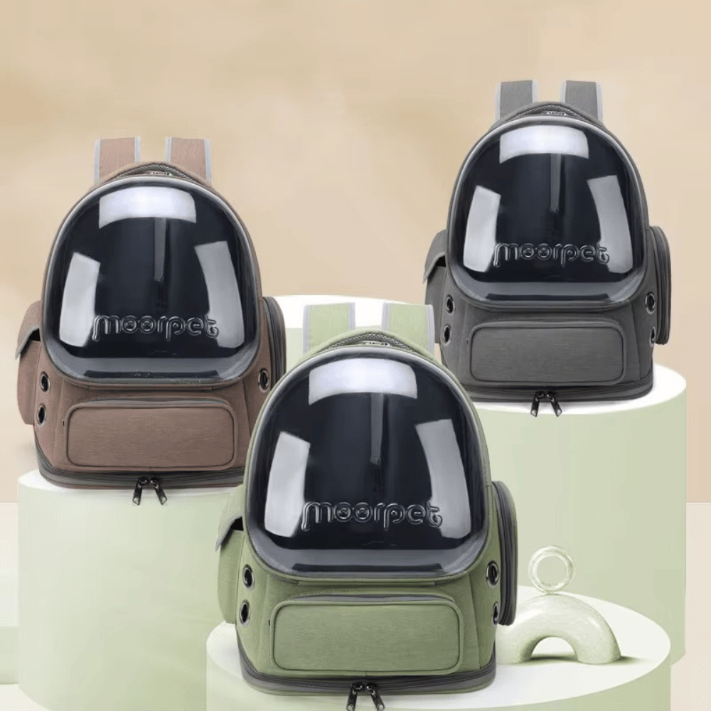 Transparent Cat Carrier Backpack