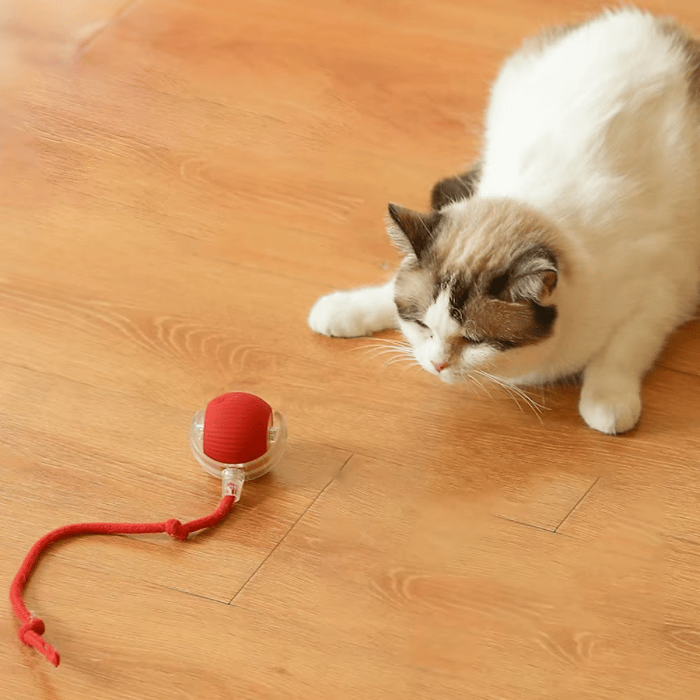 Smart Motion Ball