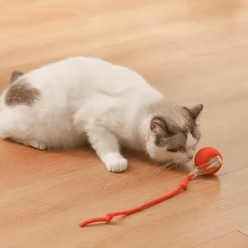 Smart Motion Ball