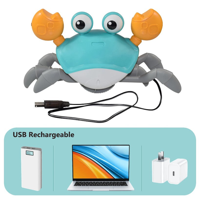 Crawling Crab Dog Toy