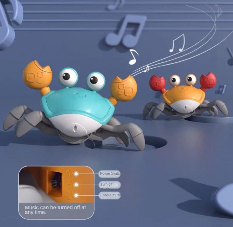 Crawling Crab Dog Toy