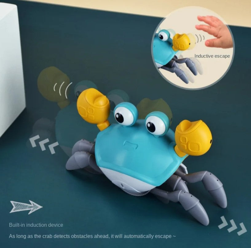 Crawling Crab Dog Toy