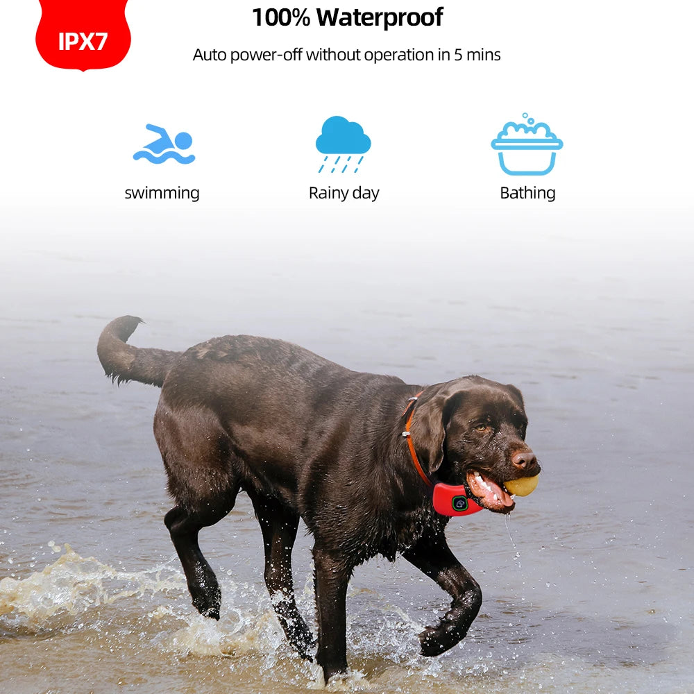 1000ft Waterproof Dog Training Collar