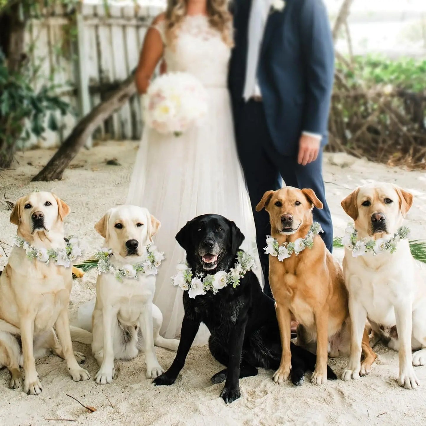 Adjustable Elegant Dog Wedding Flower Collar for Medium & Large Pets