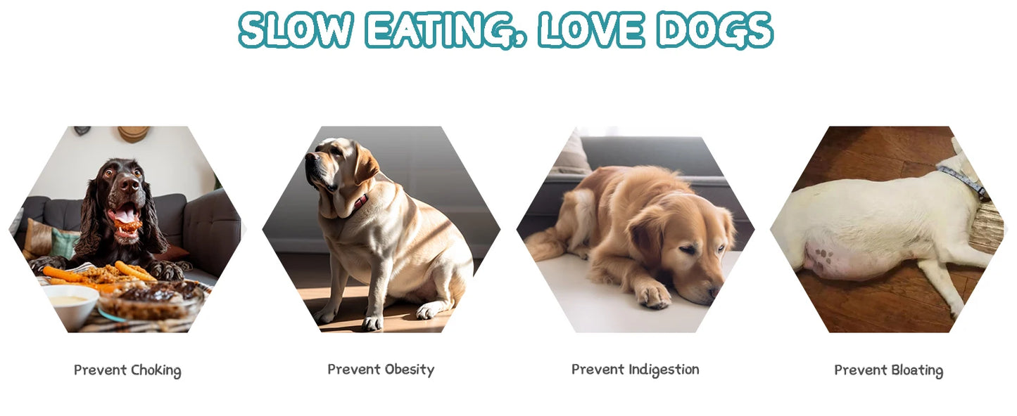 Multifunctional Interactive Dog Puzzle Toy