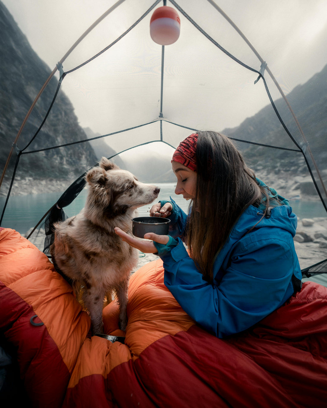 Camping with an Anxious Dog: Tips That Actually Work