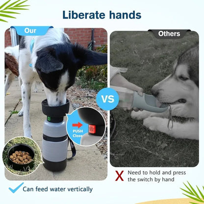 All-in-One Portable Dog Water Bottle with Food Container (650ml)